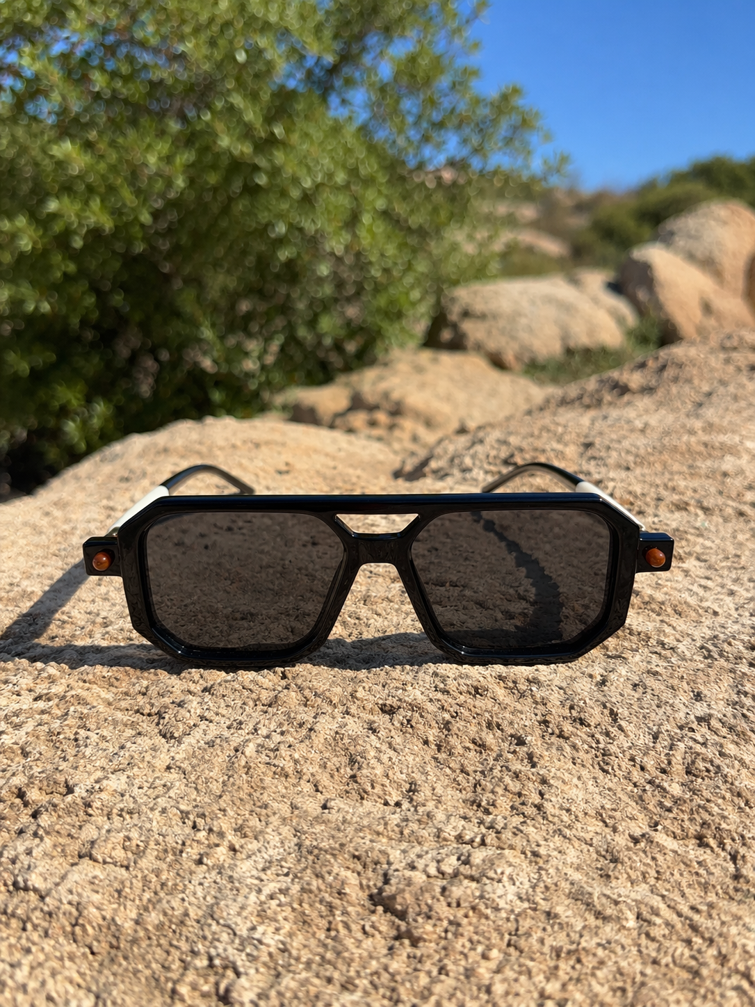 LENTES STARK NEGRO PREMIUM