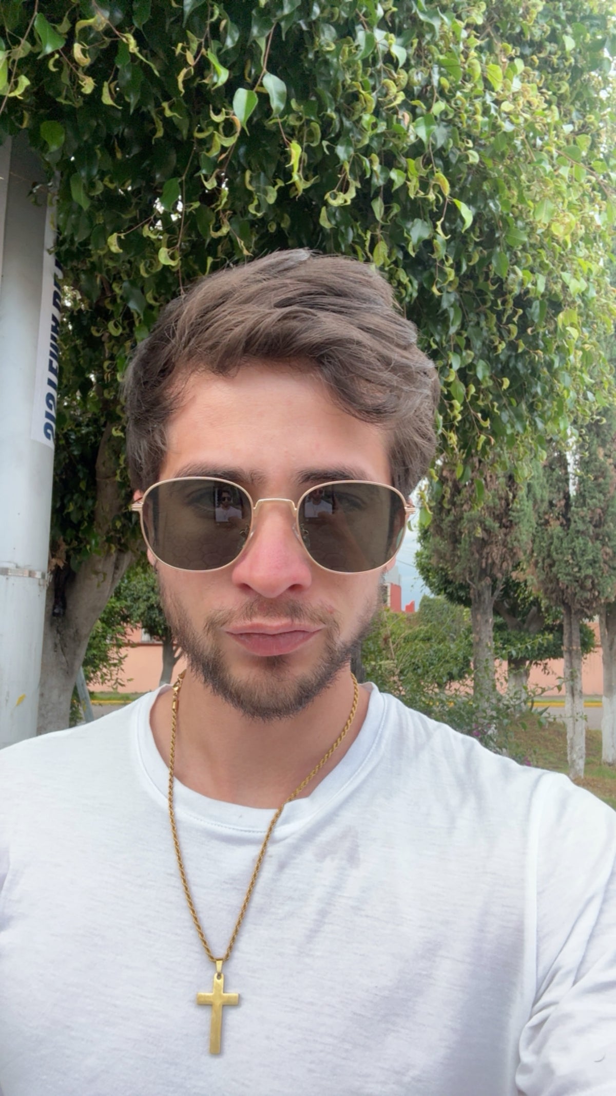 LENTES MÚSICO VERDES