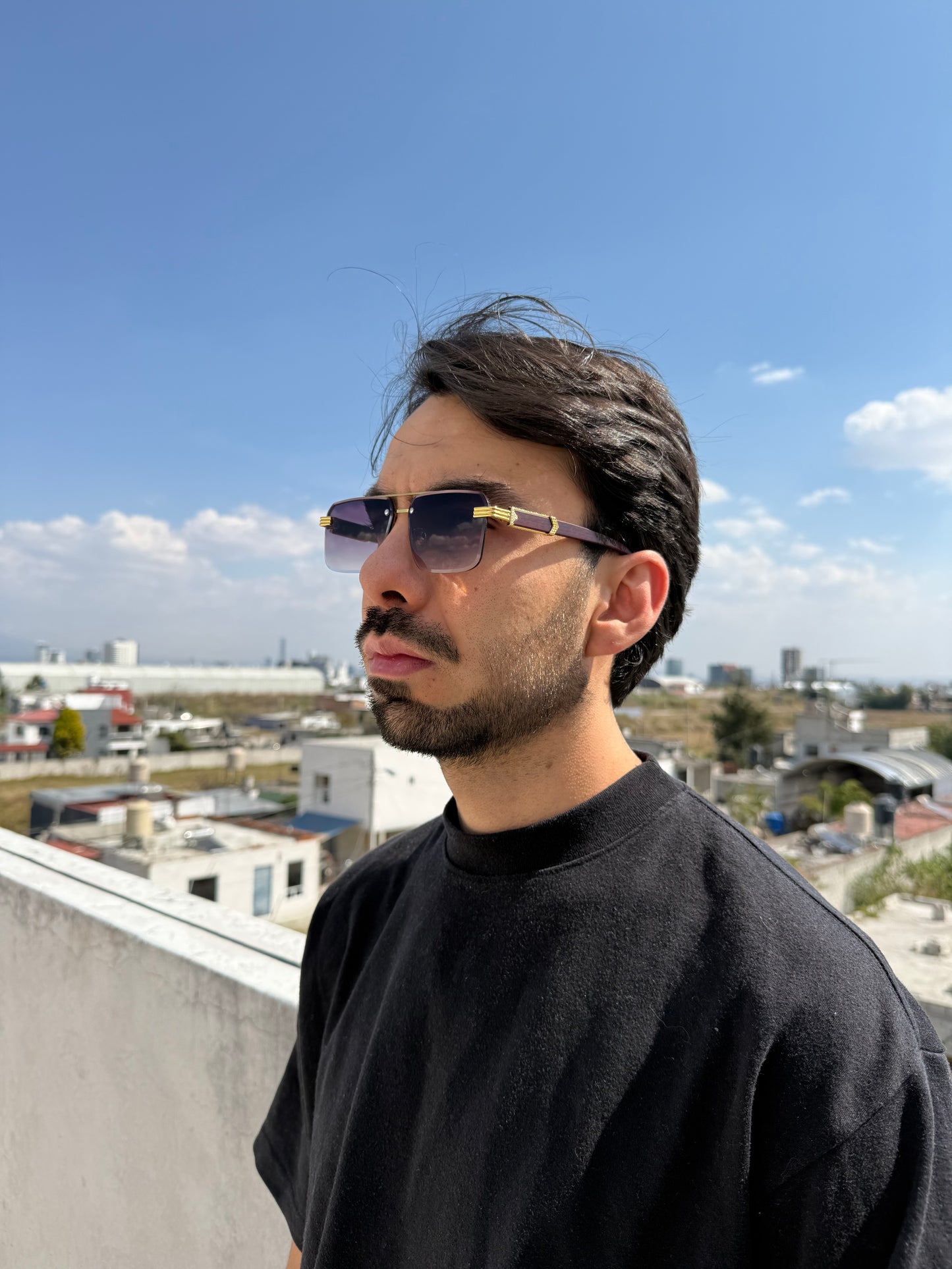 LENTES BUSINESS MORADO