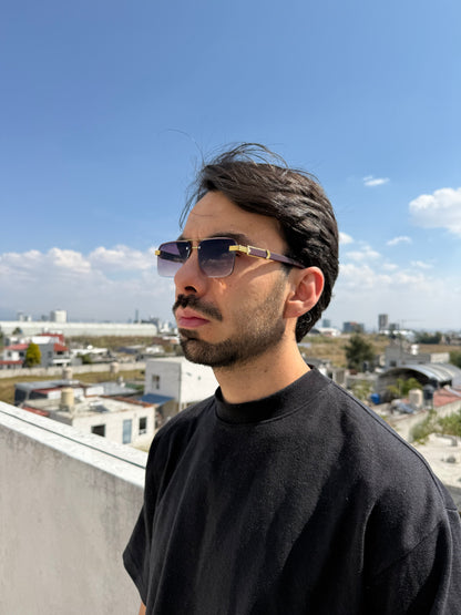 LENTES BUSINESS MORADO