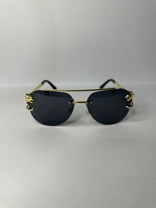 LENTES TIGER NEGROS